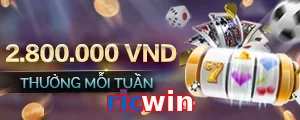 ricwin