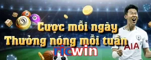 ricwin